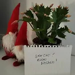 Un Balcone Sul Оменья