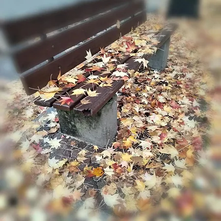 Apartamento Un Balcone Sul