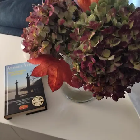 Un Balcone Sul Omegna