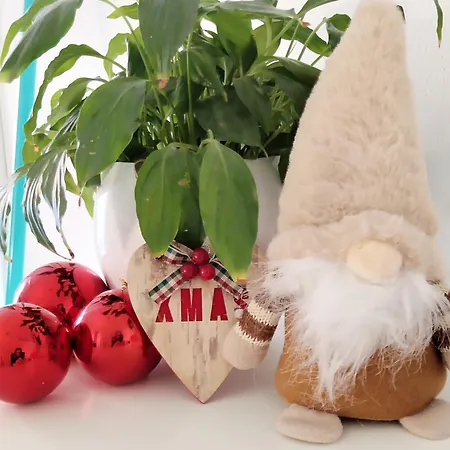 Un Balcone Sul Omegna