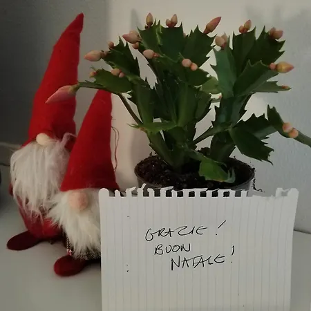 Un Balcone Sul Omegna