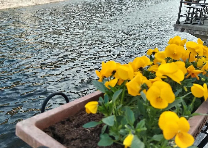 Διαμέρισμα Un Balcone Sul Omegna